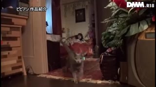 月島ななこと椎名そらのガチレズカップルが自宅にファンを集めて「レズ解禁」オフ会ドキュメント！！_ 15